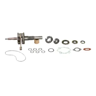 Kloķvārpsta + armatūra E10541ASM AS-Motor