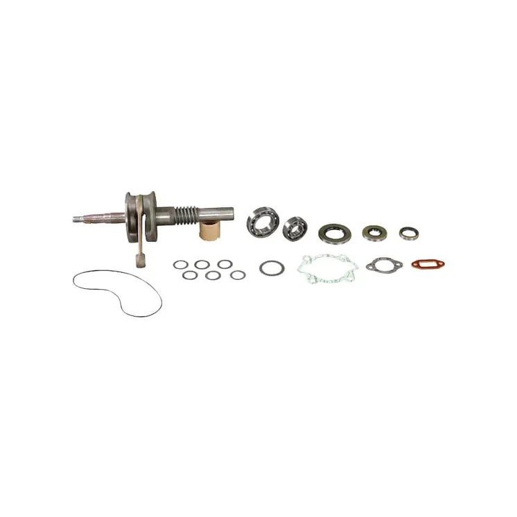 Kloķvārpsta + armatūra E10541ASM AS-Motor
