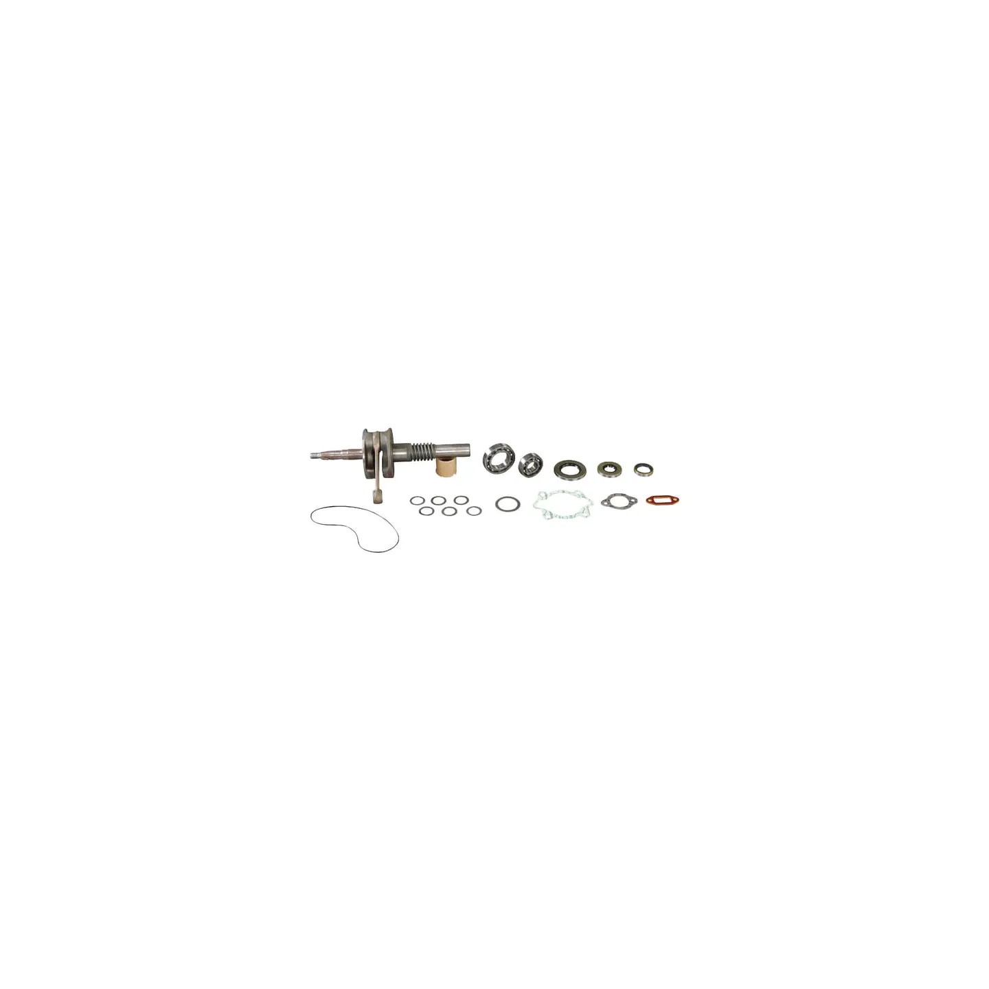 Kloķvārpsta + armatūra E10541ASM AS-Motor