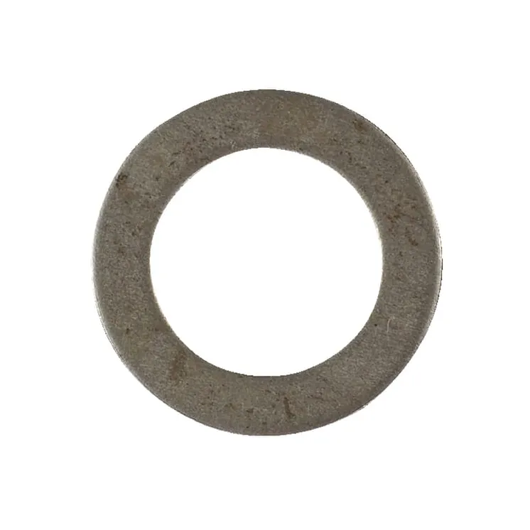 Starplika 18x25x1 5 DIN988 E10257ASM AS-Motor