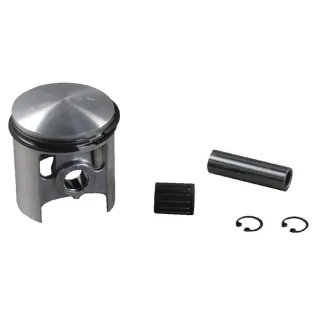 Pistons 59. 94  E10494ASM AS-Motor