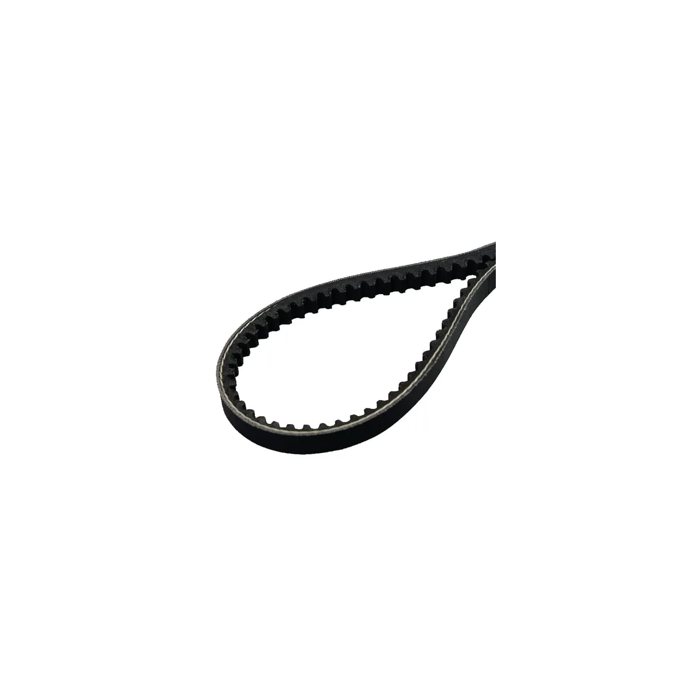 V-belt  E10455ASM AS-Motor