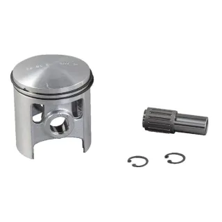 Pistons 59.92 with needle cage  E10493ASM AS-Motor