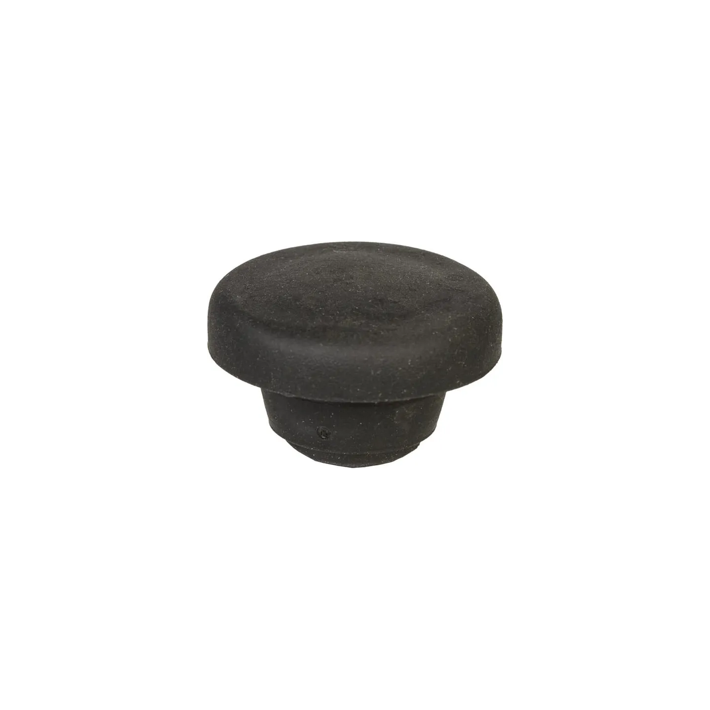 Blanking Plug  G00008089 AS-Motor